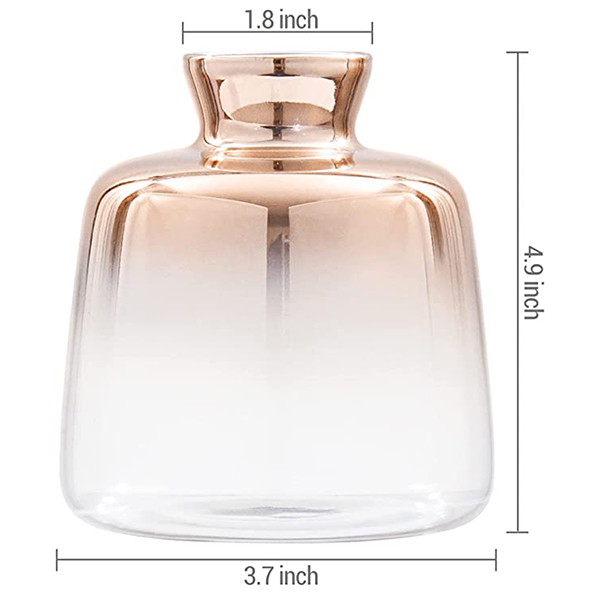 Modern Glass Diffuser Bottle
