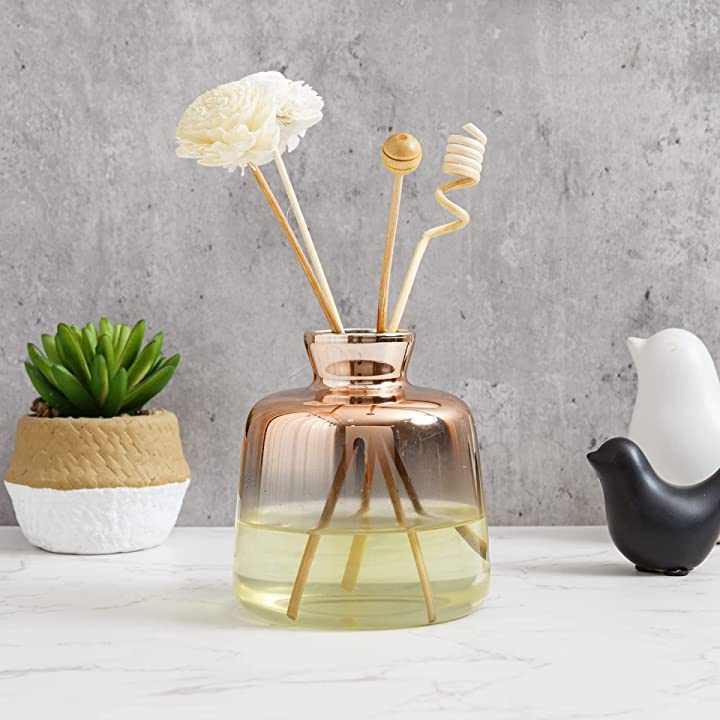 Modern Glass Diffuser Bottle