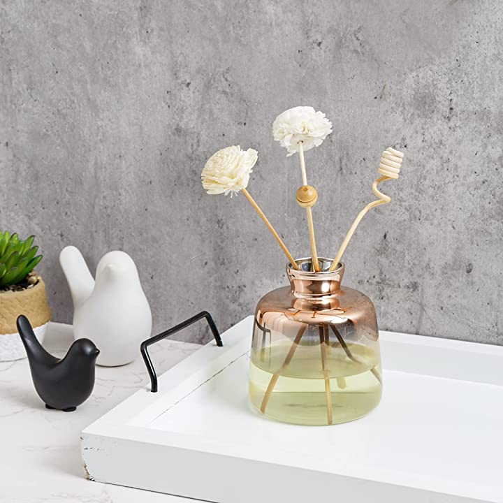 Modern Glass Diffuser Bottle